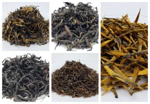 Black Tea Sampler