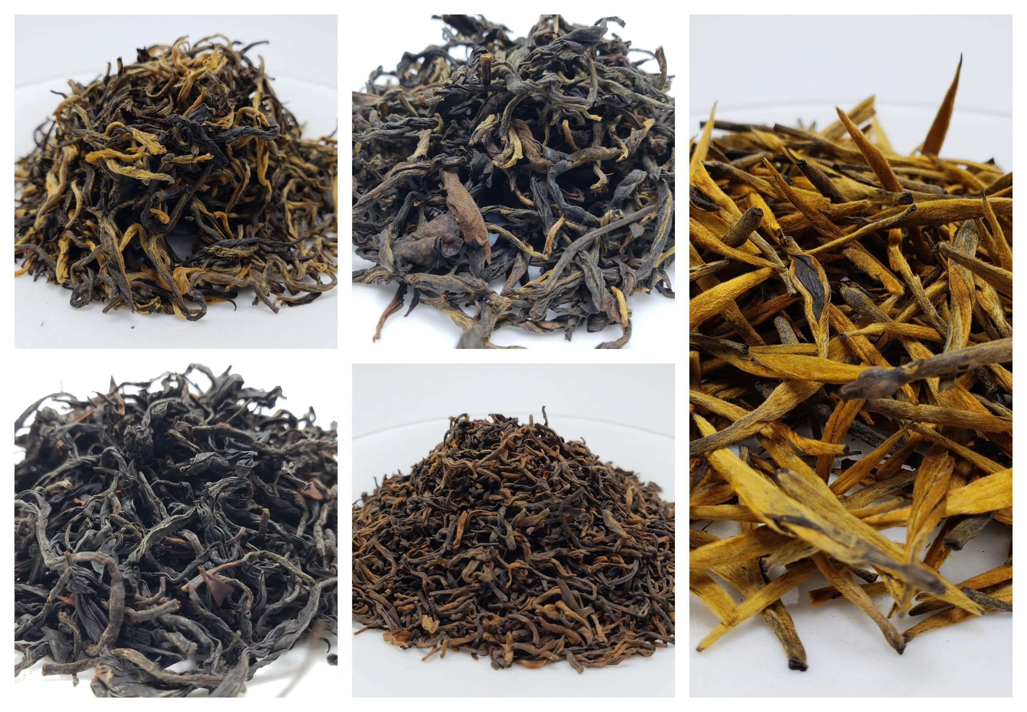 Black Tea Sampler