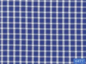 Egyptian Blue Check Shirt