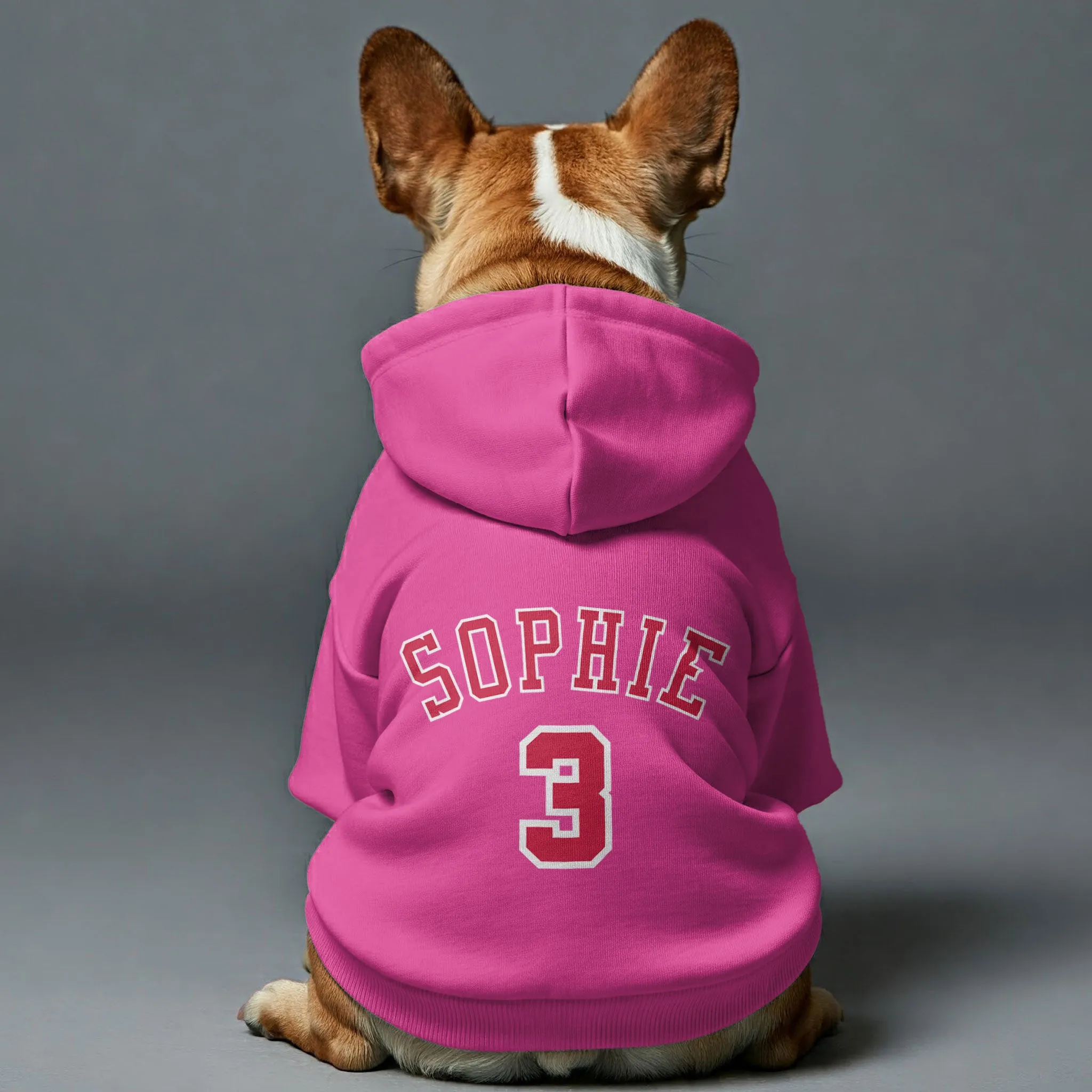 Frenchie Bulls - Personalized French Bulldog Hoodies with Custom Name and Number for Basketball Lovers – Premium 100% Cotton