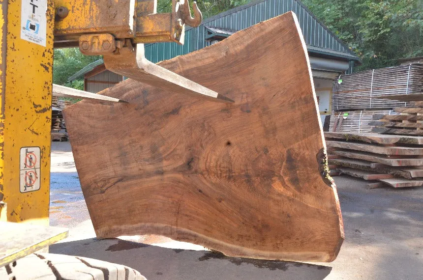 Oregon Black Walnut Slab 082622-02
