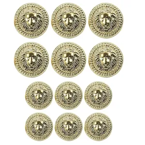 Shimmering Shiny Lion Metal Buttons(6 Big   6 Small)