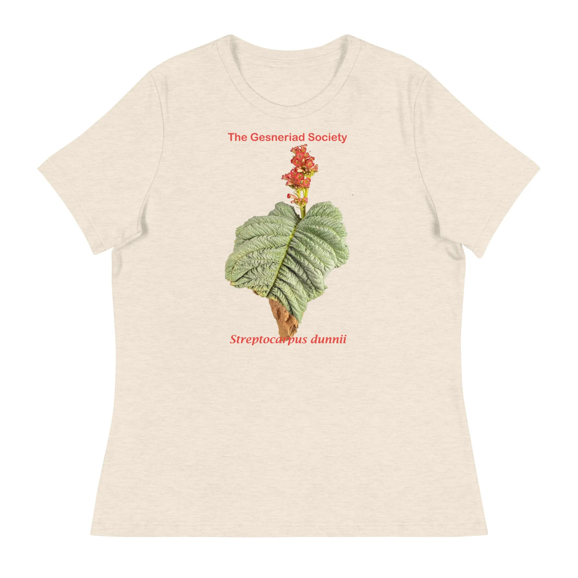 Streptocarpus dunnii Women's T-Shirt