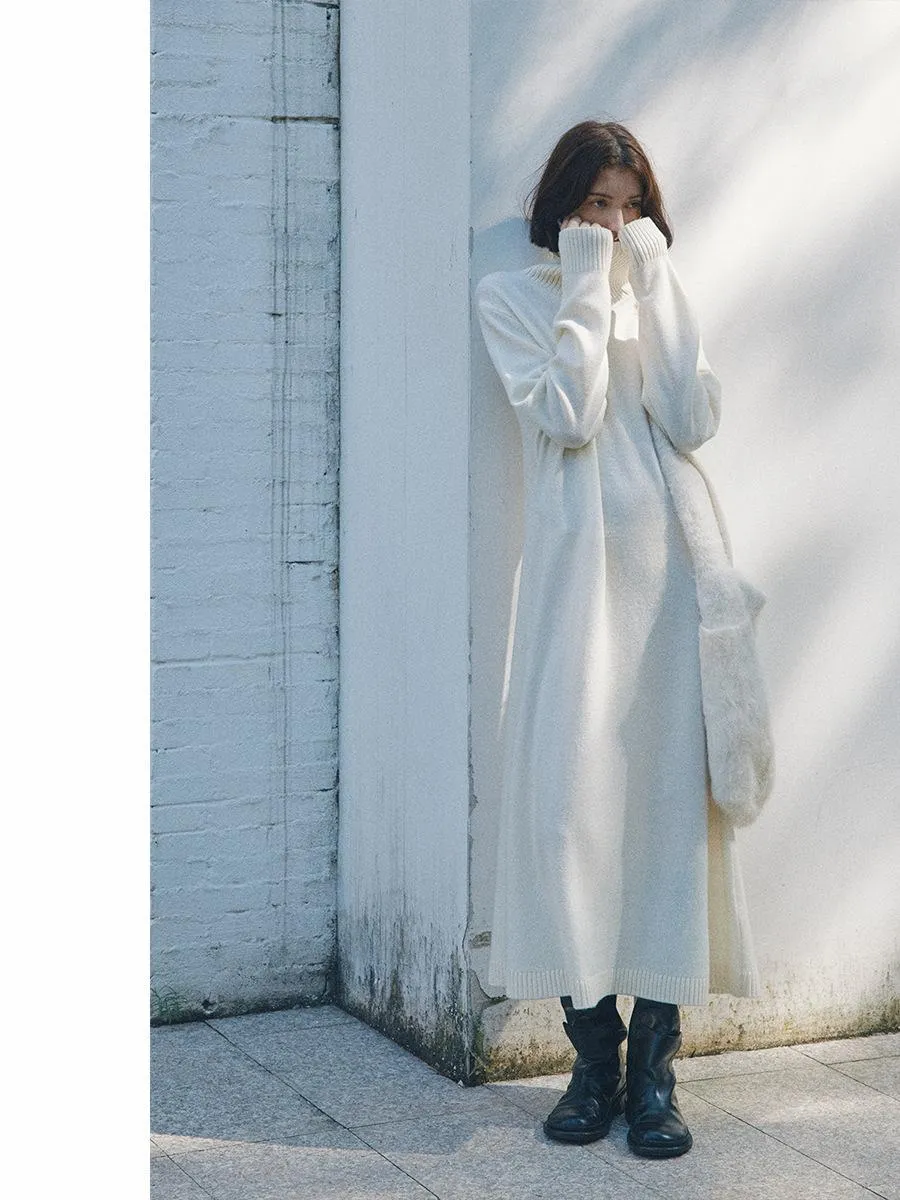 Turtleneck Knit Dress