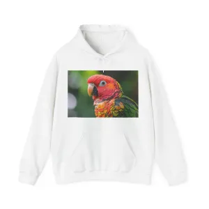 Vibrant Fractal Feather Parrot Hoodie